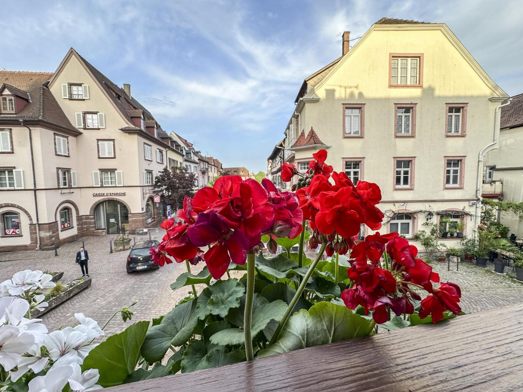 Ferienwohnung Origin'alsace Kaysersberg-Vignoble Exterior foto